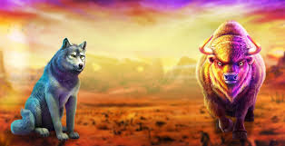 Buffalo King Megaways Port - Bet Real Cash or Play